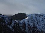 SX02790 Pine trees on snowy Lugduff mountain, Glendalough.jpg